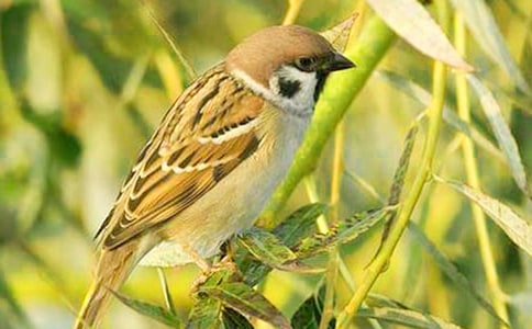 �i������ȸ���i�Z