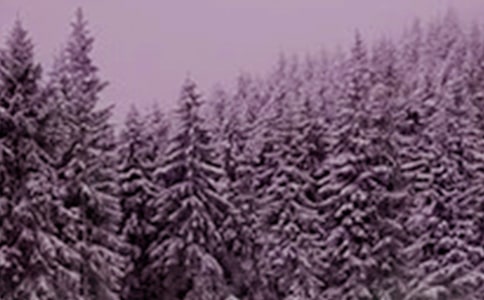 Сѩ��(ji��)���ӿ��Y(ji��)