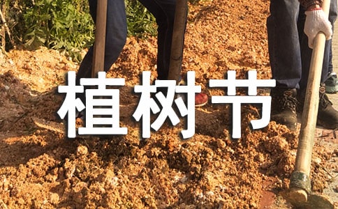 小班植樹節活動總結(精選17篇)